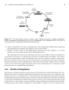 Computational Cell Biology