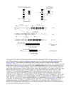 Encyclopedia of Molecular Biology Vols 1 4