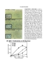 Stem Cell Biology and Gene Therapy