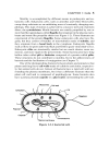 Schaum s Easy Outline Molecular and Cell Biology