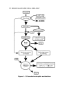 Schaum s Easy Outline Molecular and Cell Biology