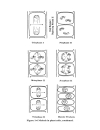 Schaum s Easy Outline Molecular and Cell Biology