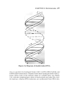 Schaum s Easy Outline Molecular and Cell Biology