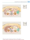 Color Atlas of Ultrasound Anatomy