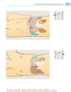 Color Atlas of Ultrasound Anatomy