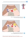 Color Atlas of Ultrasound Anatomy