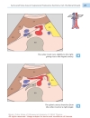 Color Atlas of Ultrasound Anatomy