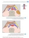 Color Atlas of Ultrasound Anatomy