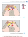 Color Atlas of Ultrasound Anatomy