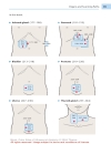 Color Atlas of Ultrasound Anatomy