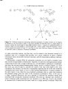 Essentials Of Computational Chemistry Theories And Models