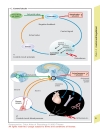 Color Atlas of Physiology 5th Ed