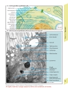 Color Atlas of Physiology 5th Ed