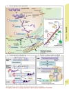 Color Atlas of Physiology 5th Ed