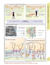 Color Atlas of Physiology 5th Ed