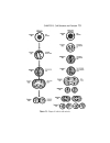 Schaum s Outline of Human Anatomy and Physiology