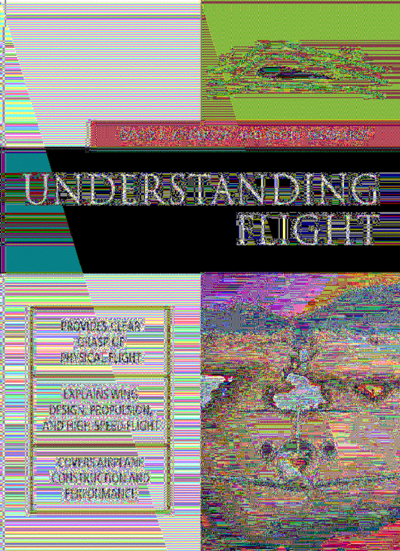 Understanding Flight