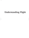 Understanding Flight