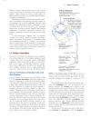 Lehninger Principles of Biochemistry Fourth Edition