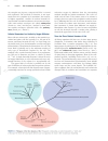 Lehninger Principles of Biochemistry Fourth Edition