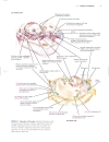 Lehninger Principles of Biochemistry Fourth Edition