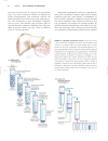 Lehninger Principles of Biochemistry Fourth Edition