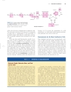 Lehninger Principles of Biochemistry Fourth Edition