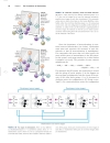 Lehninger Principles of Biochemistry Fourth Edition