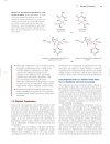 Lehninger Principles of Biochemistry Fourth Edition