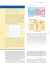 Lehninger Principles of Biochemistry Fourth Edition