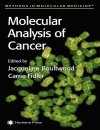 Molecular Analysis Of Cancer