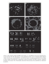 Molecular Analysis Of Cancer