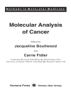 Molecular Analysis Of Cancer