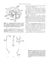 Elements of Molecular Neurobiology 3d ed