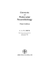 Elements of Molecular Neurobiology 3d ed