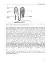 Infrared spectroscopy in clinical chemistry using chemometric calibration techniques