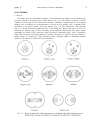 Schaum s Outline of Theory and Problems of Genetics