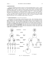 Schaum s Outline of Theory and Problems of Genetics