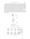 Schaum s Outline of Theory and Problems of Genetics