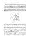 Schaum s Outline of Theory and Problems of Genetics