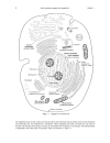 Schaum s Outline of Theory and Problems of Genetics