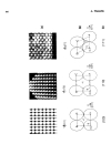 MODERN ASPECTS OF ELECTROCHEMISTRY No 16