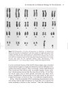 Understanding DNA The Molecule and How It Works 3rd ed