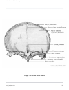 Atlas Of Human Skeletal Anatomy