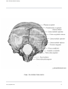 Atlas Of Human Skeletal Anatomy