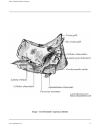 Atlas Of Human Skeletal Anatomy