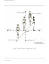 Atlas Of Human Skeletal Anatomy