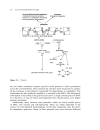 Environmental Biotechnology Principles and Applications