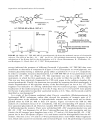 Flavonoids Chemistry Biochemistry and Applications