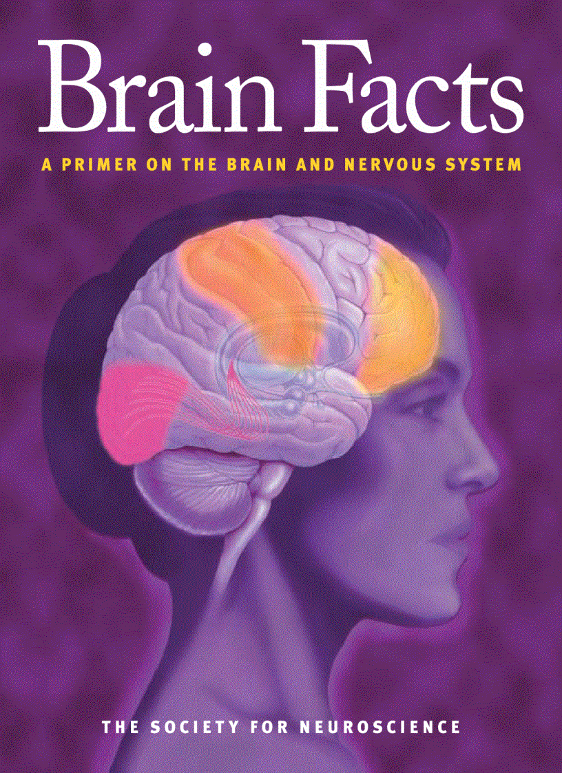 Brain Facts A Primer on the Brain and Nervous System